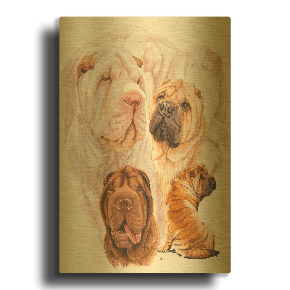 'Shar Pei With Ghost' By Barbara Keith Gold Metal Wall Art