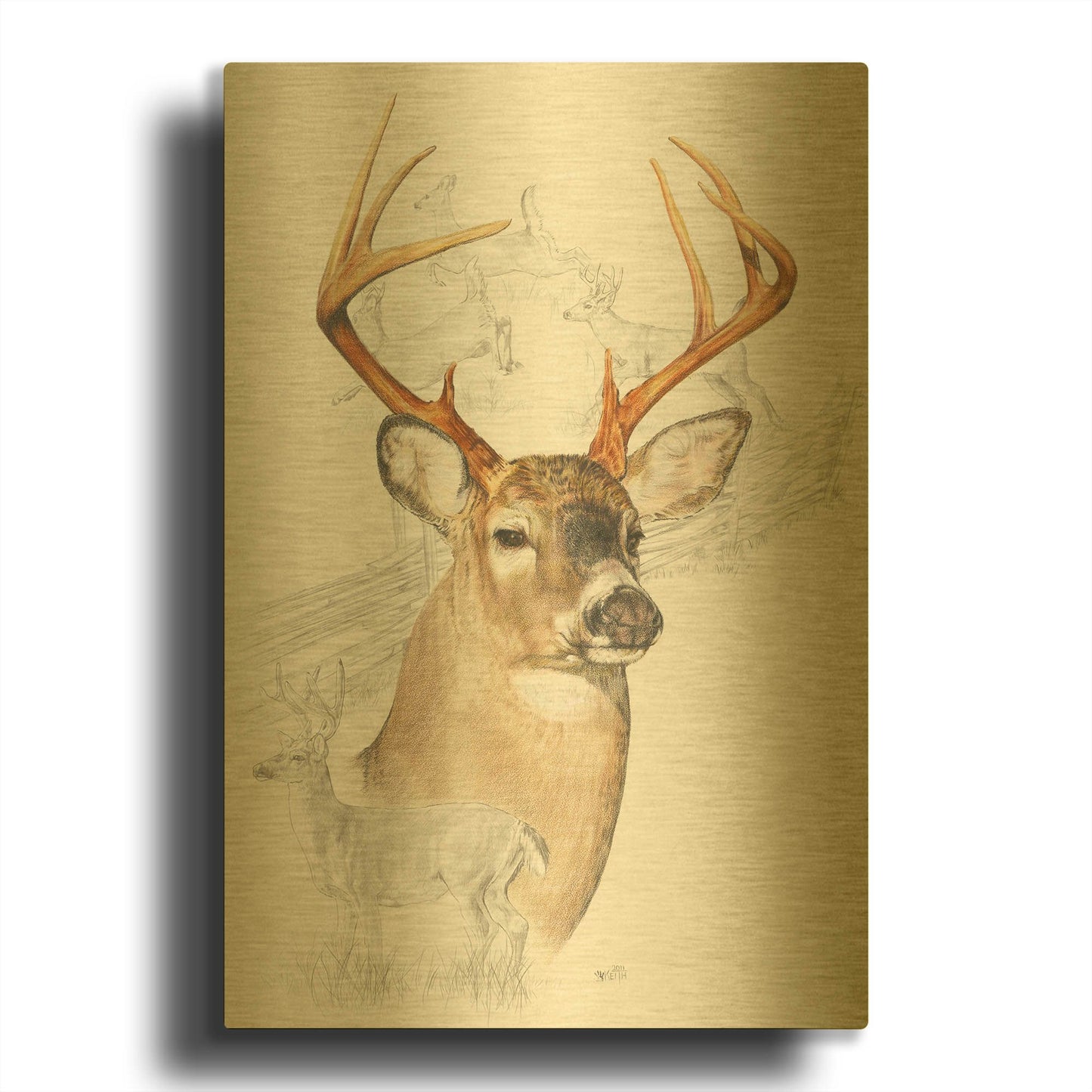'White Tailed Deer' By Barbara Keith Gold Metal Wall Art
