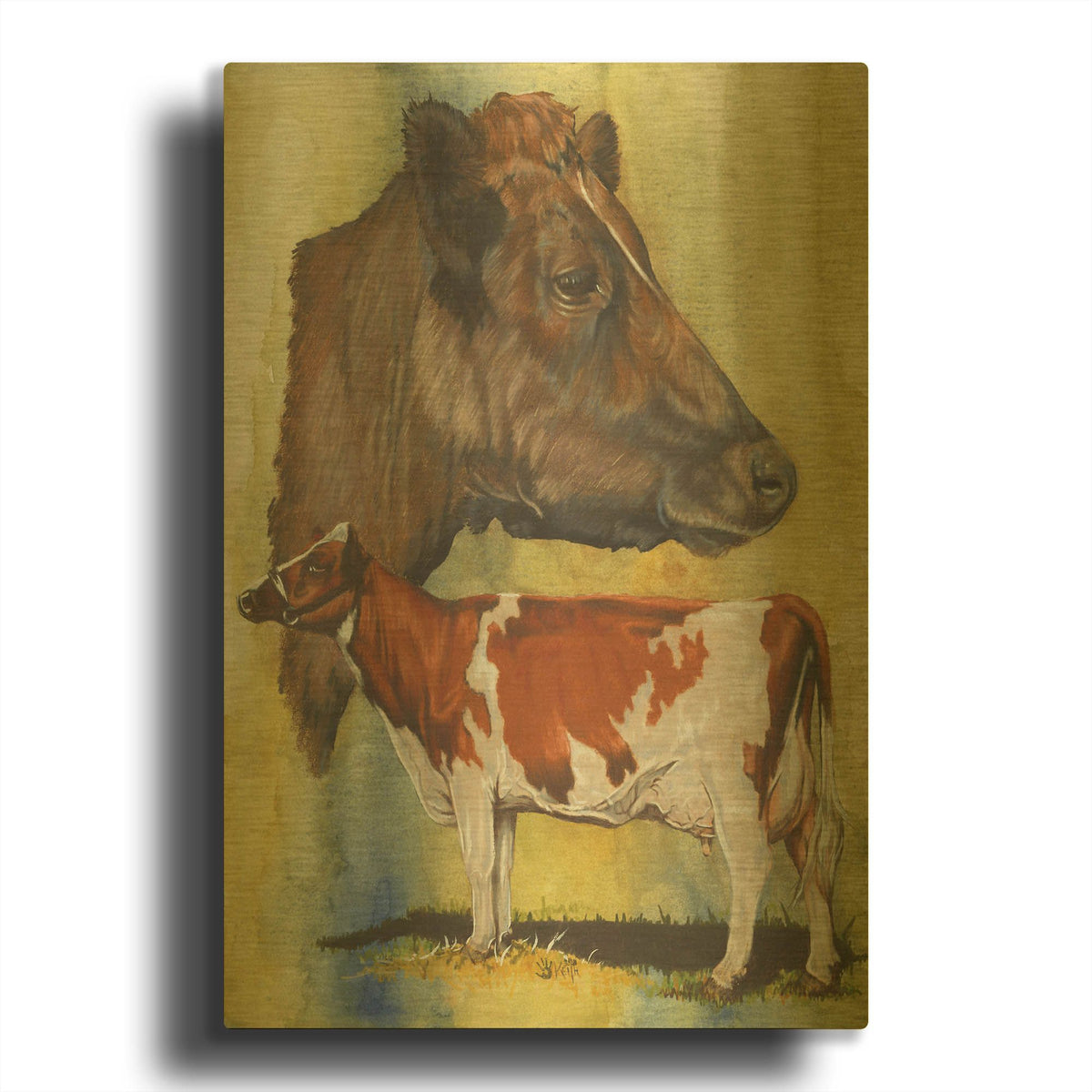 'Ayrshire Cows' By Barbara Keith Gold Metal Wall Art