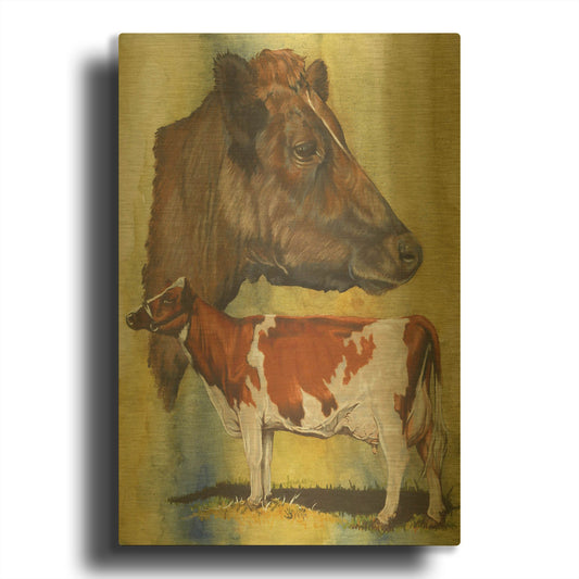'Ayrshire Cows' By Barbara Keith Gold Metal Wall Art
