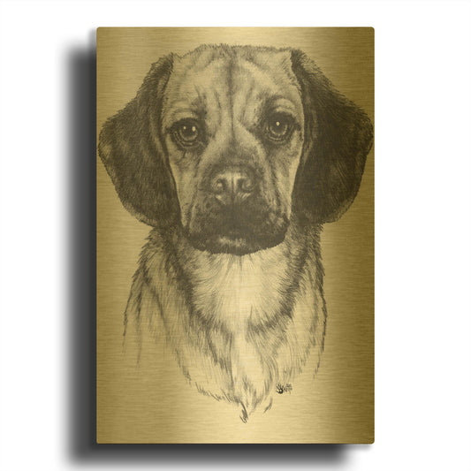 'Mr. Puggle' By Barbara Keith Gold Metal Wall Art