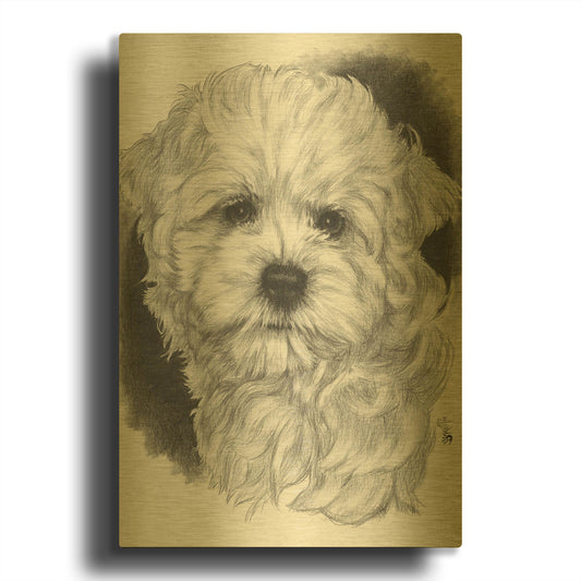 'Maltichon' By Barbara Keith Gold Metal Wall Art