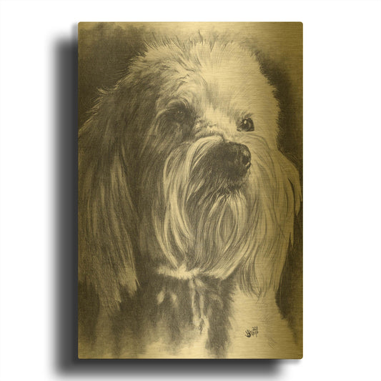 'Schnoodle' By Barbara Keith Gold Metal Wall Art