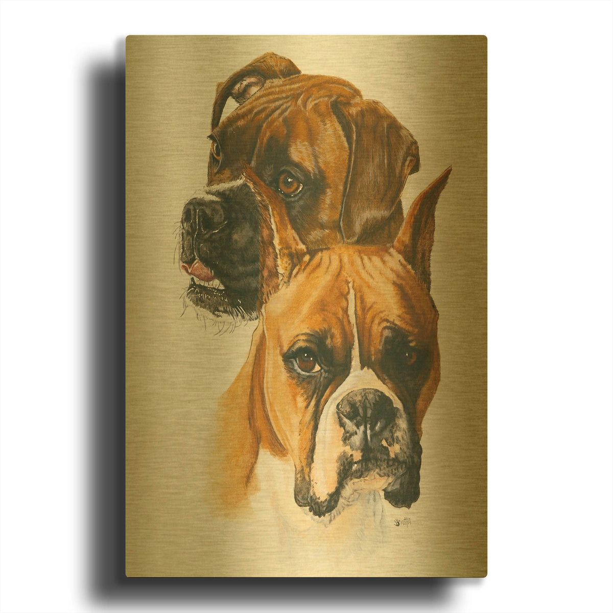 'Boxer' By Barbara Keith Gold Metal Wall Art