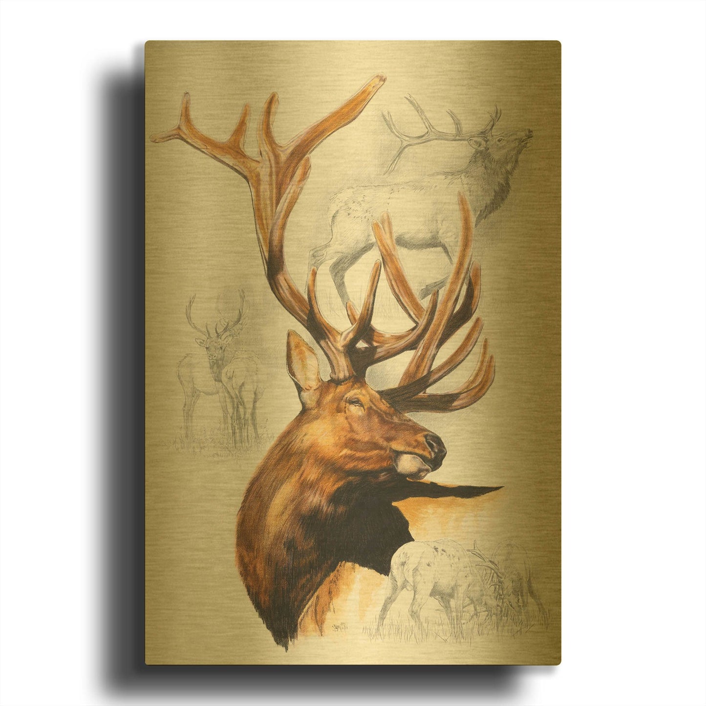 'Elk' By Barbara Keith Gold Metal Wall Art