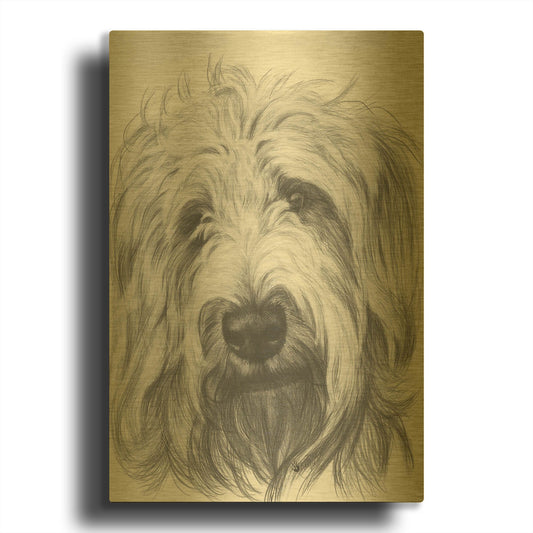 'Labradootle' By Barbara Keith Gold Metal Wall Art