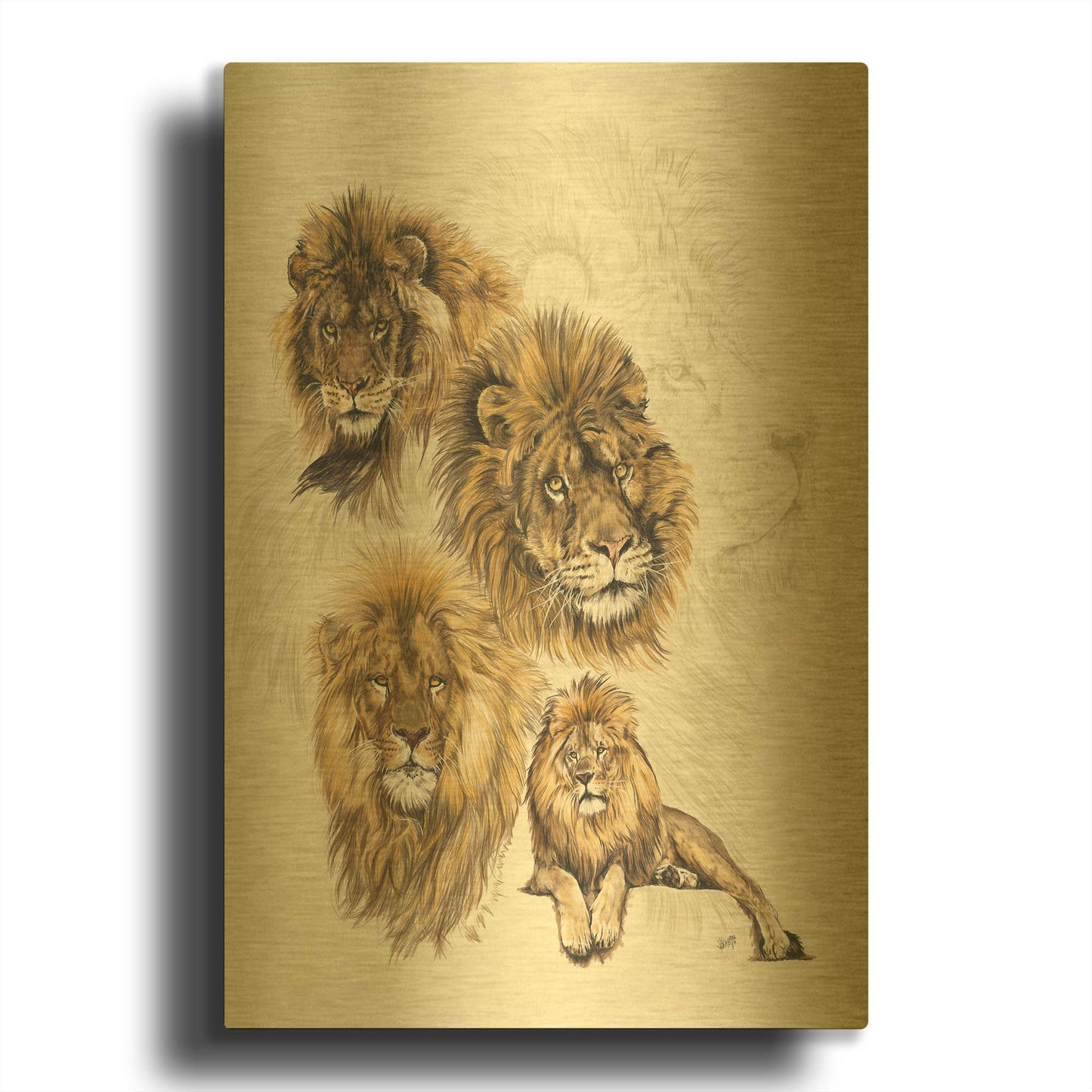 'Ghost Image Lion' By Barbara Keith Gold Metal Wall Art