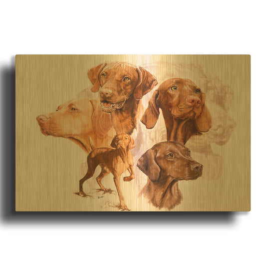 'Vizsla' By Barbara Keith Gold Metal Wall Art
