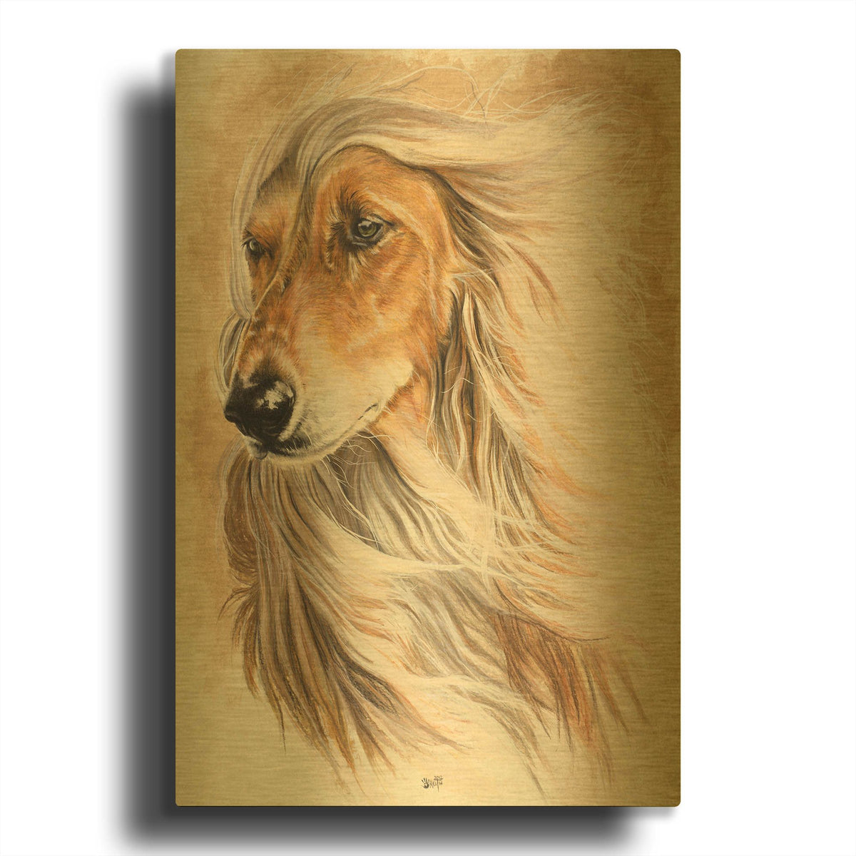 'Afgan Hound' By Barbara Keith Gold Metal Wall Art