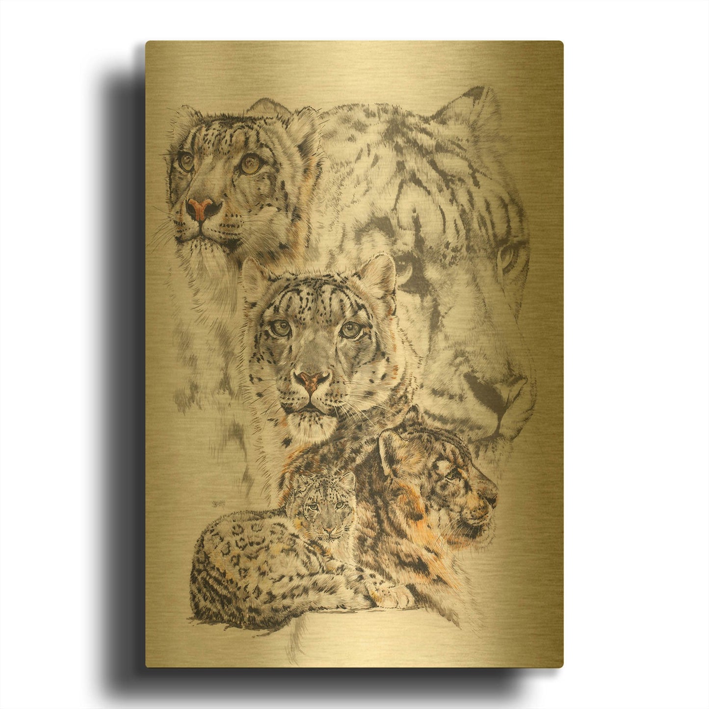 'Snow Leopard and Ghost Image' By Barbara Keith Gold Metal Wall Art