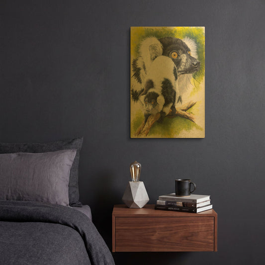 'Black & White Lemur' By Barbara Keith Gold Metal Wall Art
