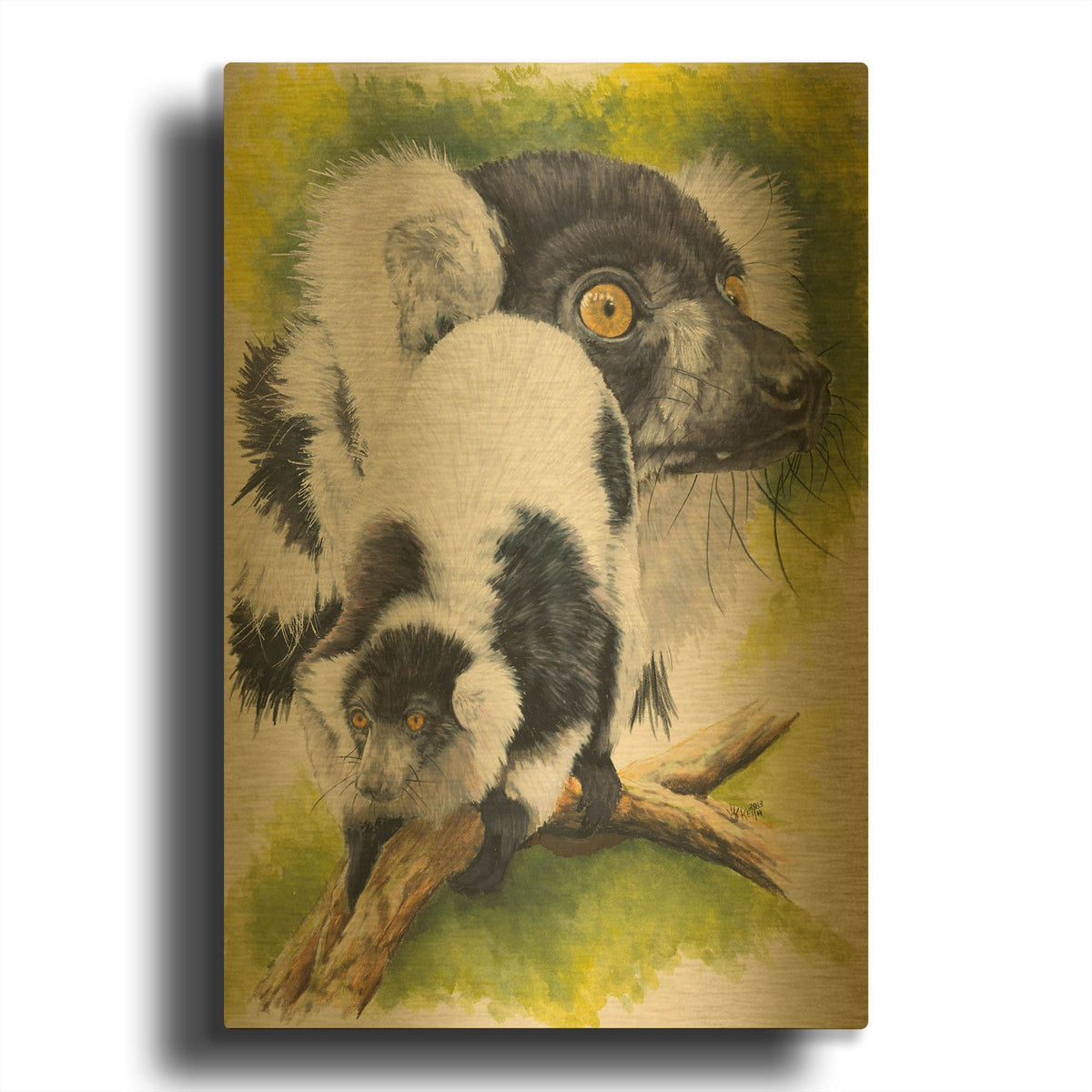 'Black & White Lemur' By Barbara Keith Gold Metal Wall Art