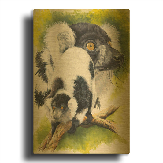'Black & White Lemur' By Barbara Keith Gold Metal Wall Art