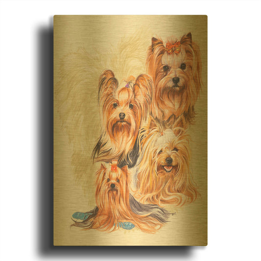 'Yorkshire Terrier' By Barbara Keith Gold Metal Wall Art