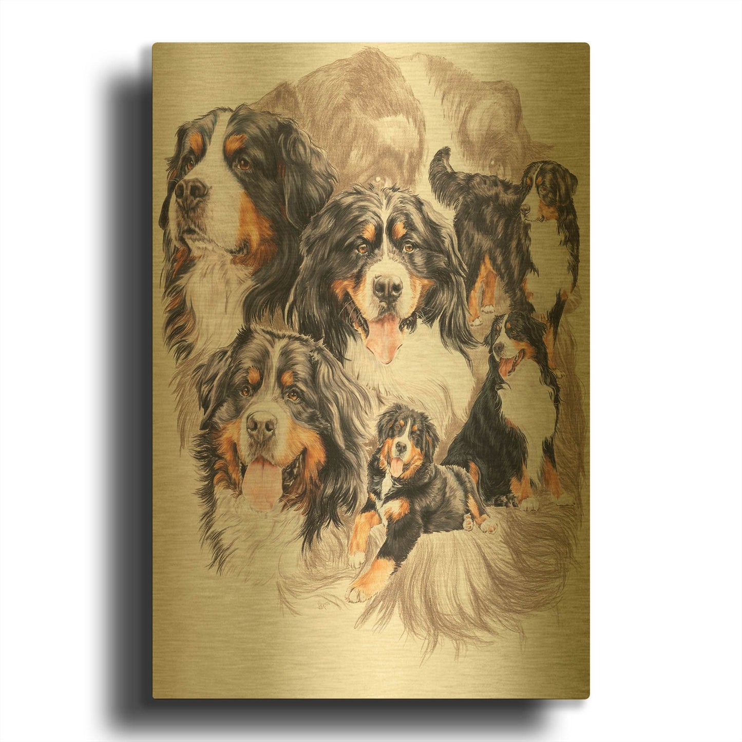 'Bernese Mountain Dog with Ghost' By Barbara Keith Gold Metal Wall Art
