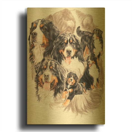 'Bernese Mountain Dog with Ghost' By Barbara Keith Gold Metal Wall Art