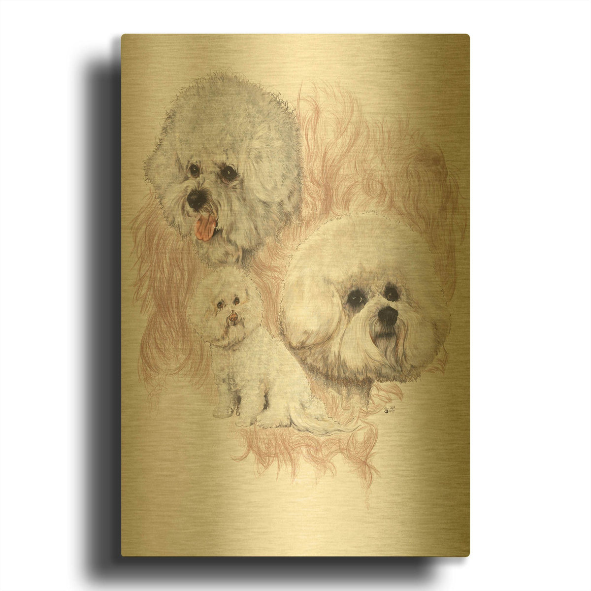 'Bichon Frise' By Barbara Keith Gold Metal Wall Art