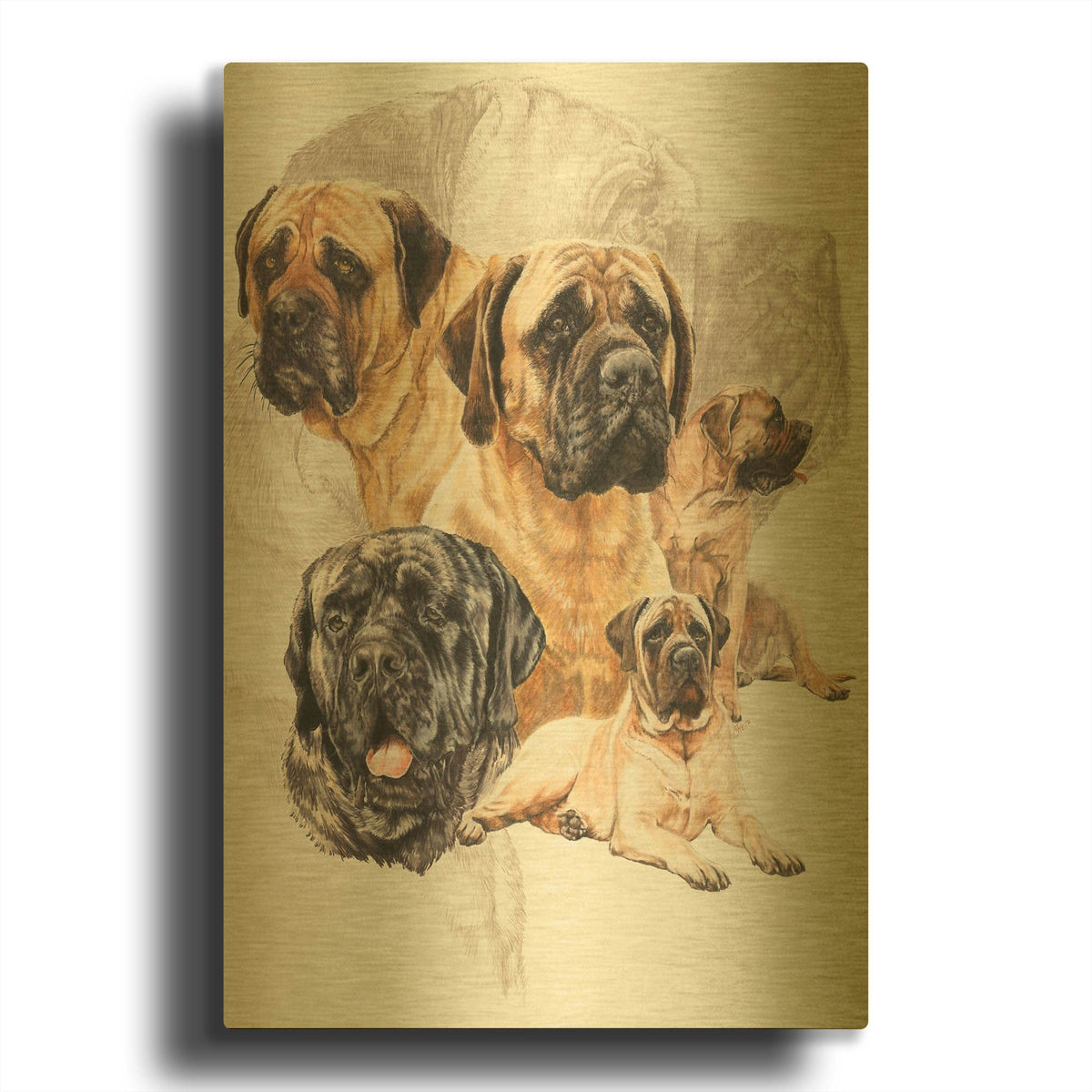 'Bull Mastiff with Ghost' By Barbara Keith Gold Metal Wall Art