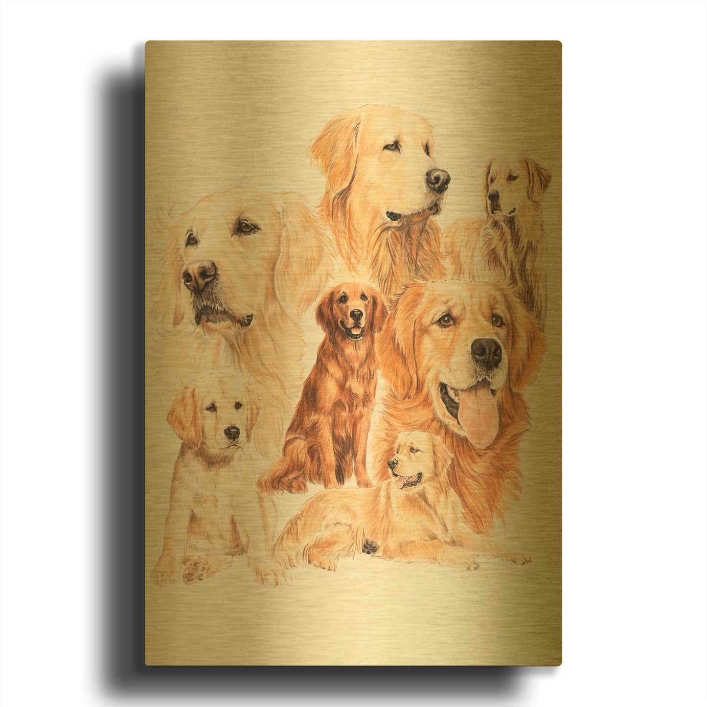 'Golden Retriever 3' By Barbara Keith Gold Metal Wall Art