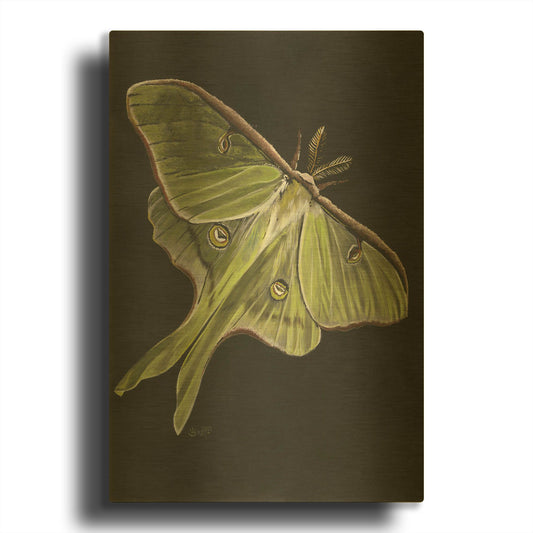 'Luna' By Barbara Keith Gold Metal Wall Art