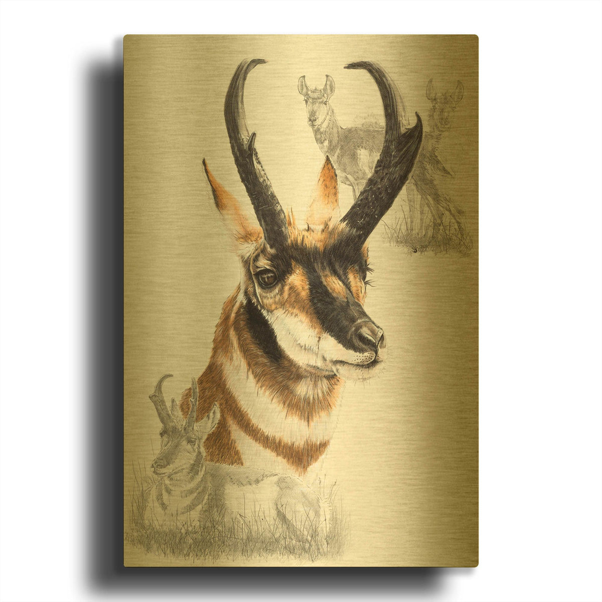 'Pronghorn' By Barbara Keith Gold Metal Wall Art