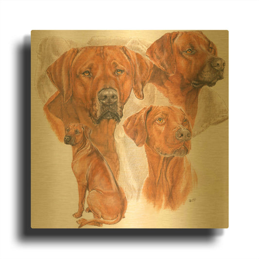 'Rhodisian Ridgeback' By Barbara Keith Gold Metal Wall Art