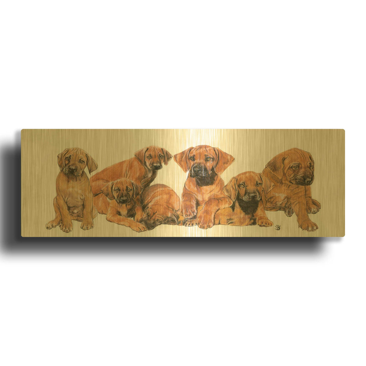 'Rhodisian Ridgeback Puppies' By Barbara Keith Gold Metal Wall Art