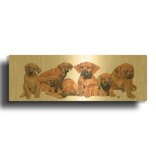 'Rhodisian Ridgeback Puppies' By Barbara Keith Gold Metal Wall Art