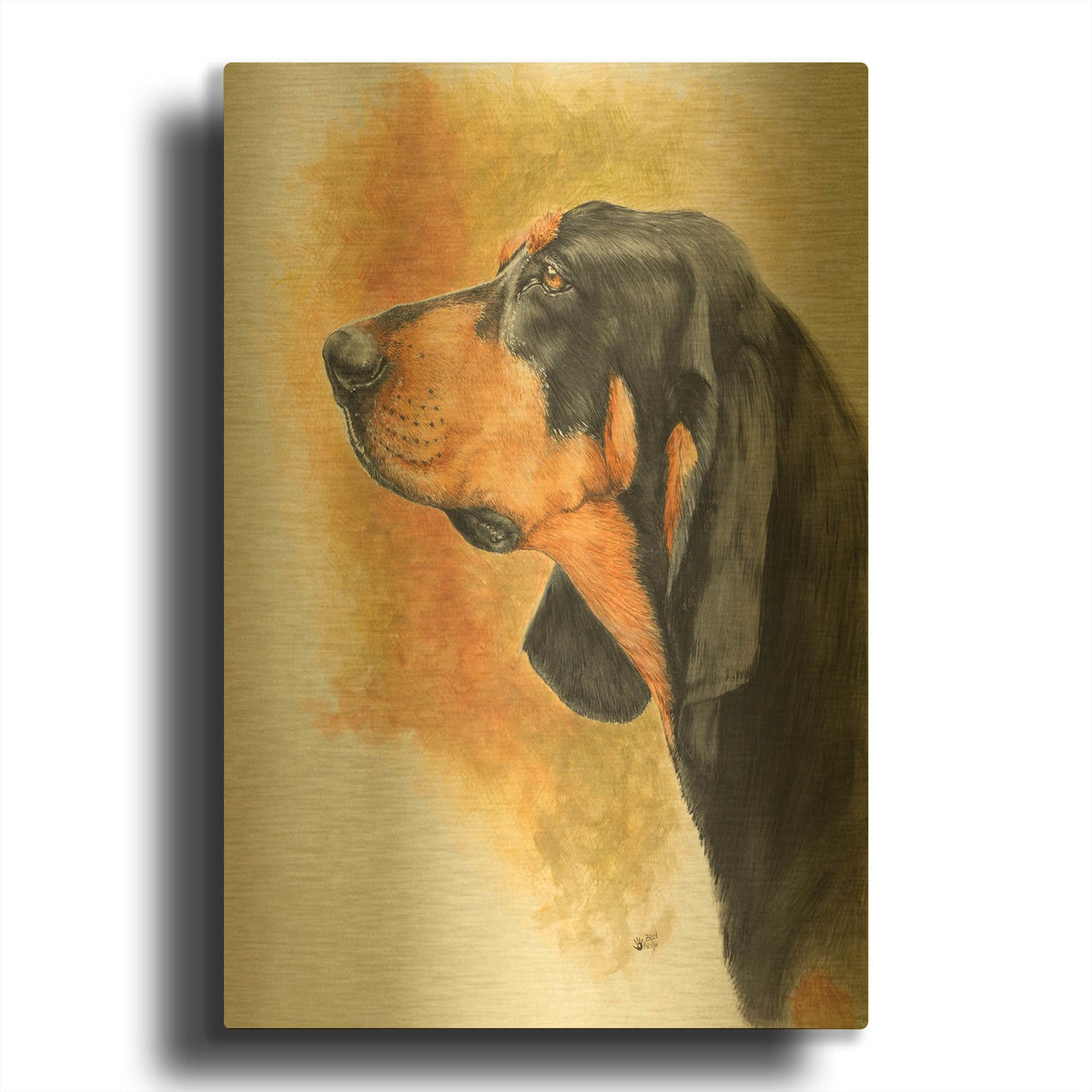 'Black and Tan CoonHound' By Barbara Keith Gold Metal Wall Art