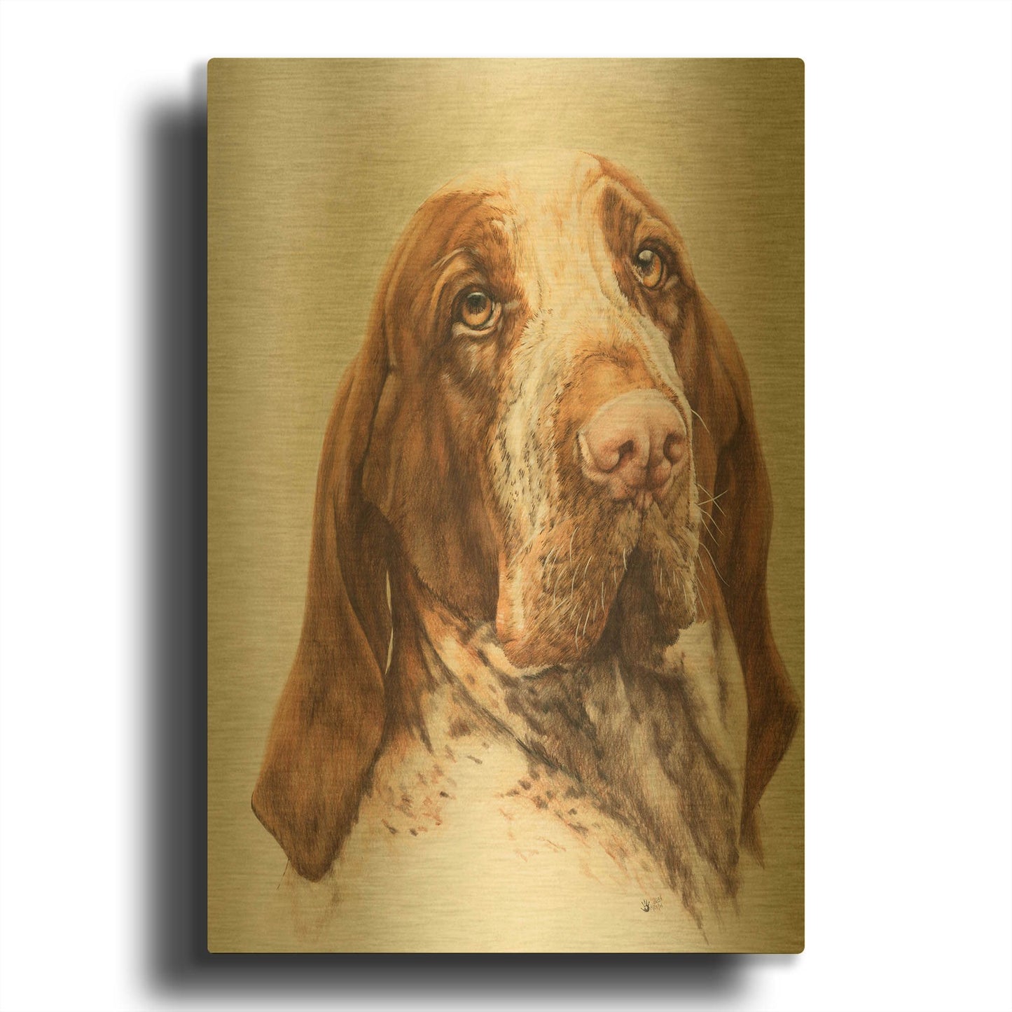 'Bracco Italiano 2' By Barbara Keith Gold Metal Wall Art