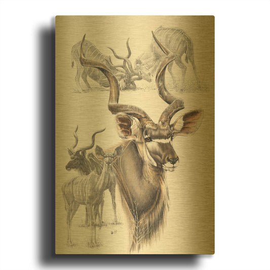 'Kudu' By Barbara Keith Gold Metal Wall Art