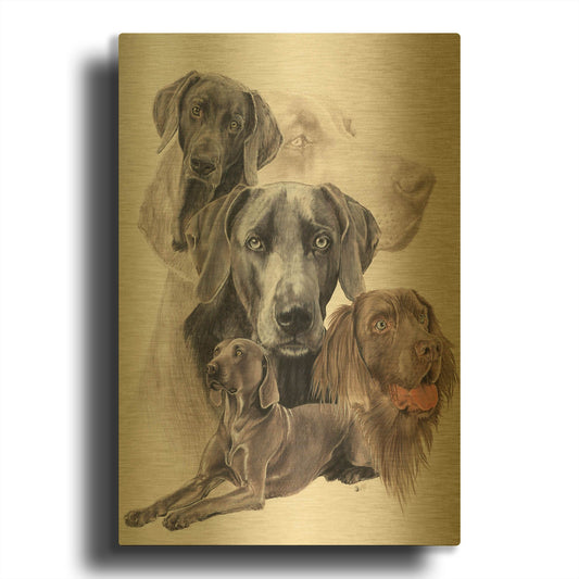 'Weimaraner and Ghost' By Barbara Keith Gold Metal Wall Art