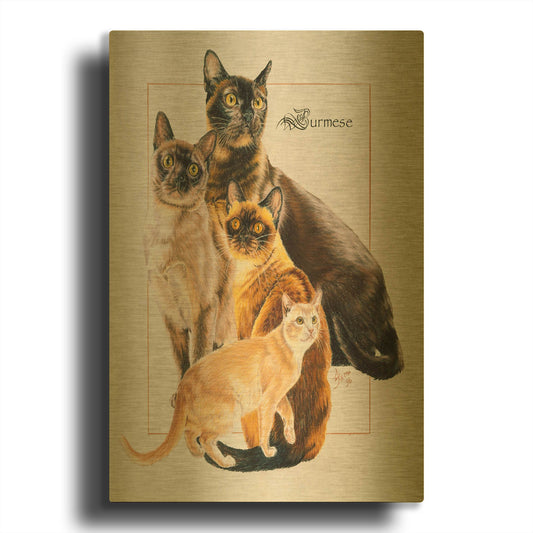 'Burmese' By Barbara Keith Gold Metal Wall Art