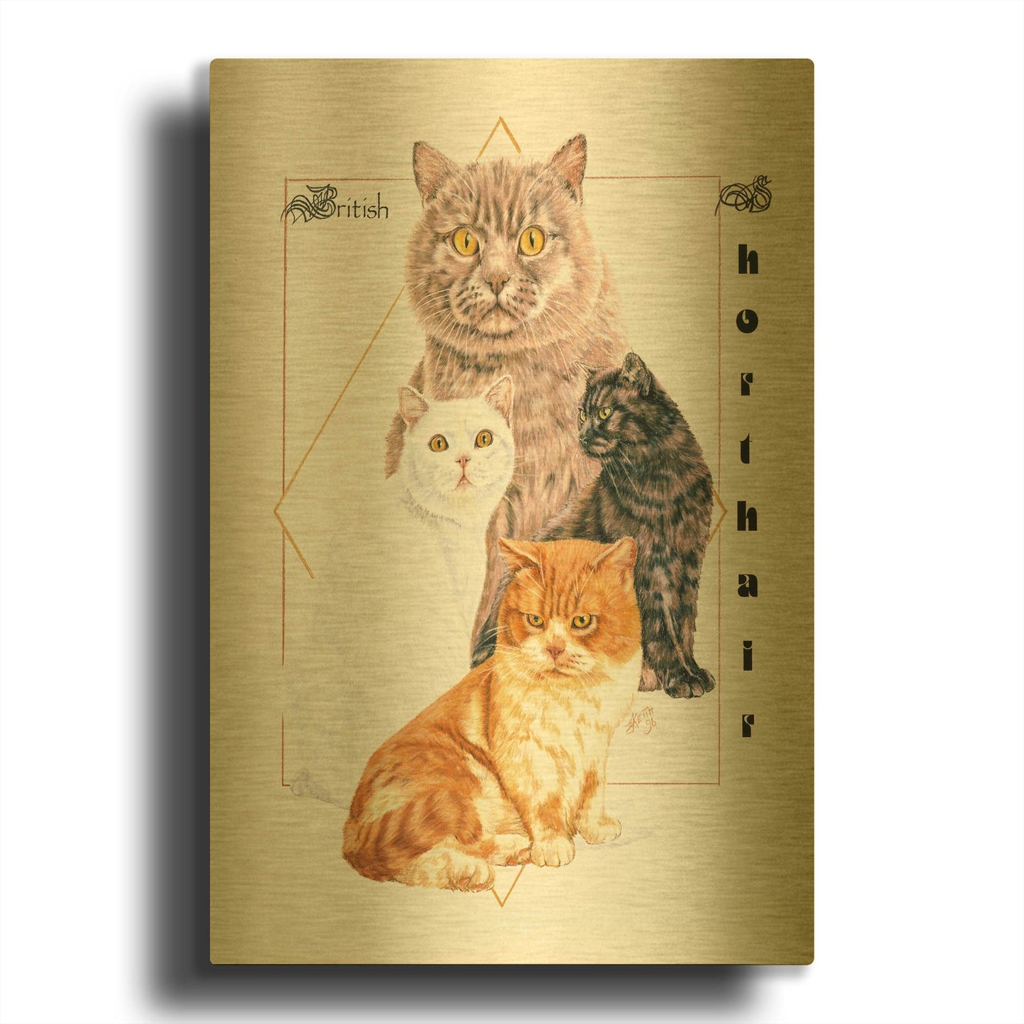 'British Shorthair' By Barbara Keith Gold Metal Wall Art