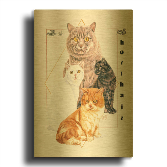 'British Shorthair' By Barbara Keith Gold Metal Wall Art