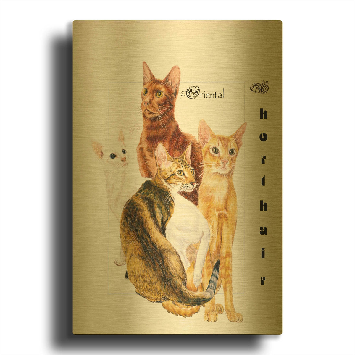 'Oriental Shorthair' By Barbara Keith Gold Metal Wall Art