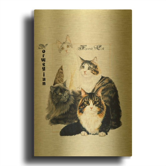 'Norwegin Forest Cat' By Barbara Keith Gold Metal Wall Art