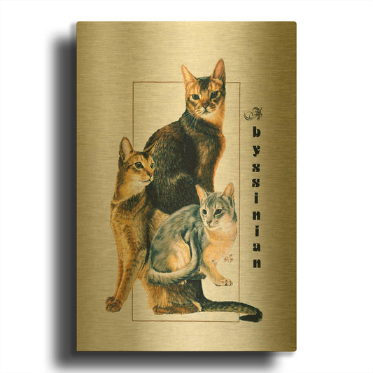 'Abyssinian' By Barbara Keith Gold Metal Wall Art