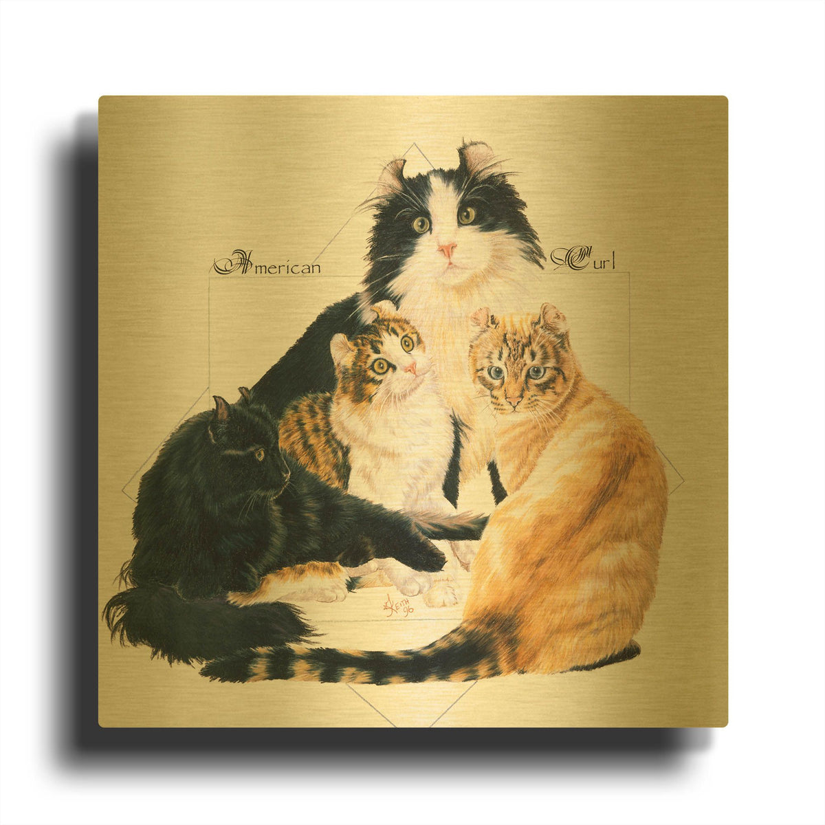 'American Curl' By Barbara Keith Gold Metal Wall Art