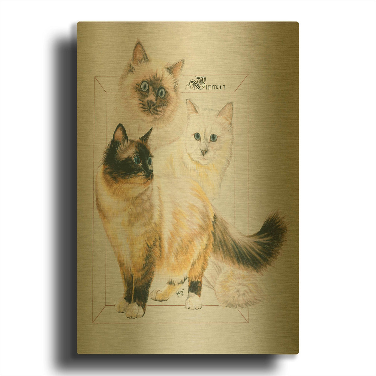 'Birman' By Barbara Keith Gold Metal Wall Art