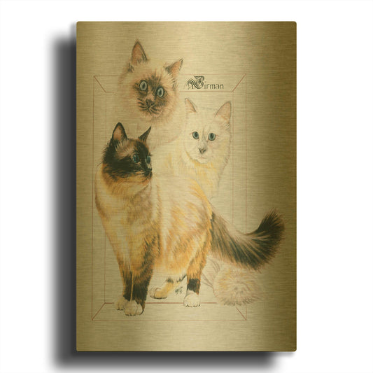'Birman' By Barbara Keith Gold Metal Wall Art