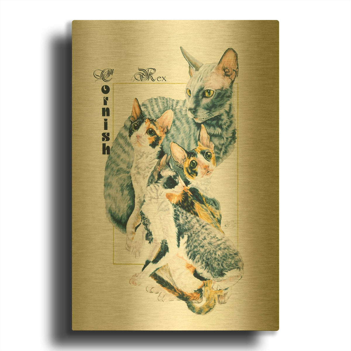 'Cornish Rex' By Barbara Keith Gold Metal Wall Art