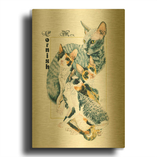 'Cornish Rex' By Barbara Keith Gold Metal Wall Art