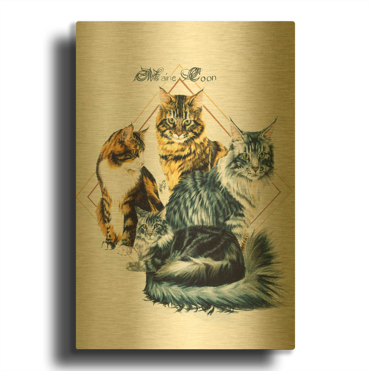 'Maine Coon' By Barbara Keith Gold Metal Wall Art
