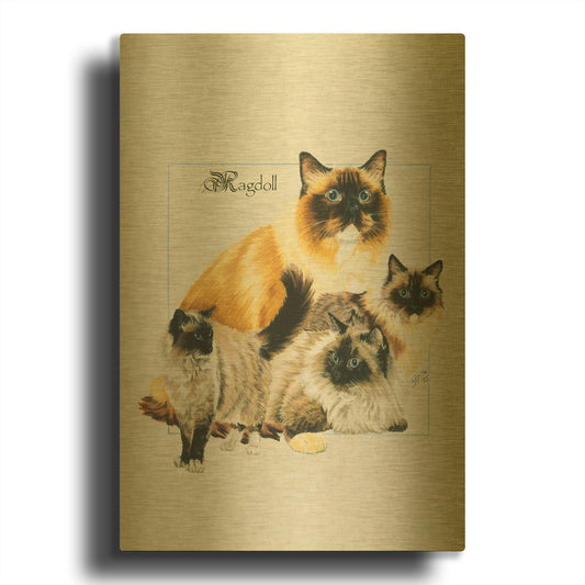 'Ragdoll' By Barbara Keith Gold Metal Wall Art
