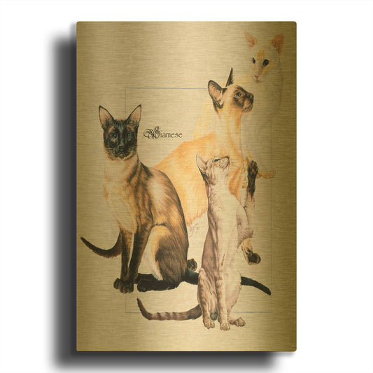 'Siamese' By Barbara Keith Gold Metal Wall Art