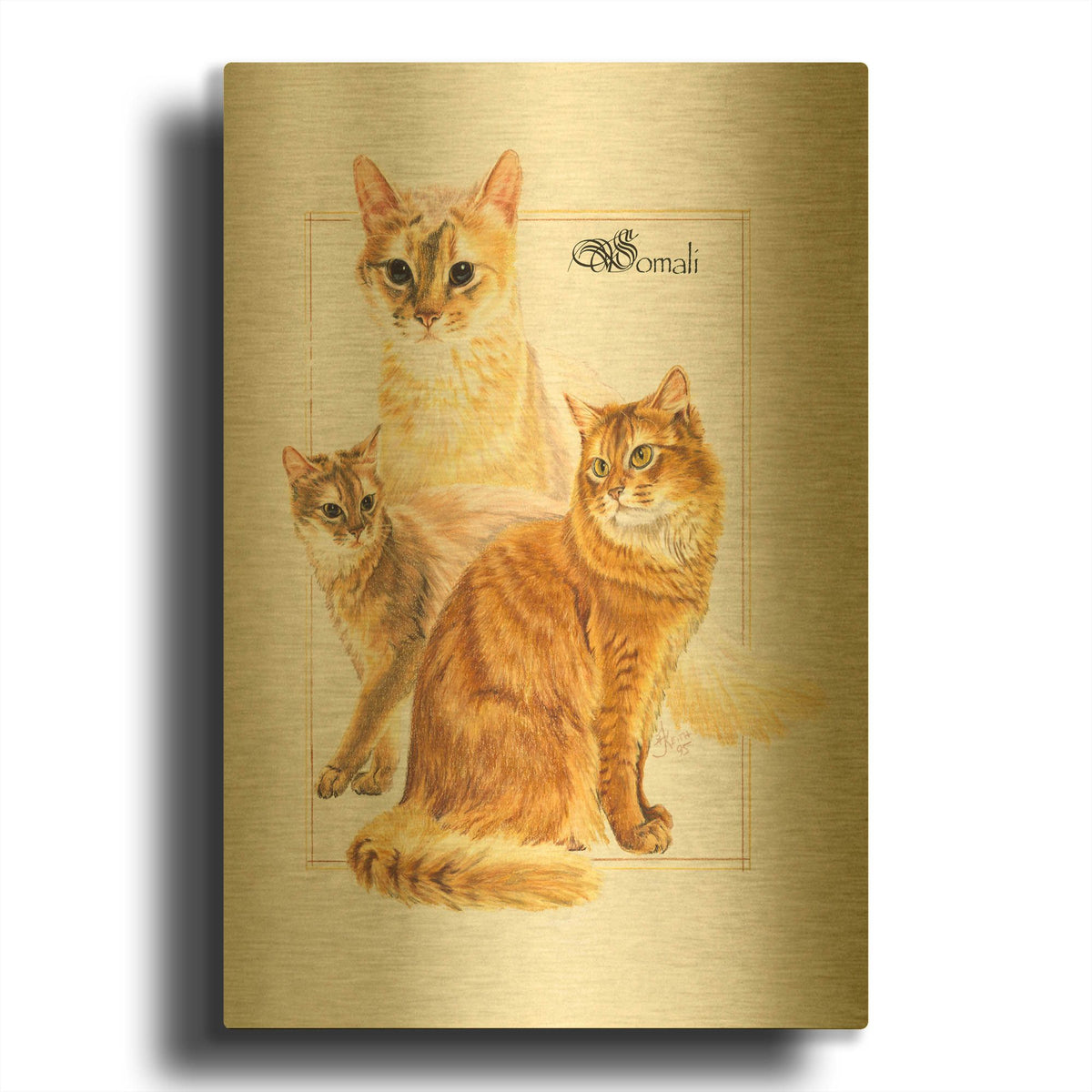 'Somali' By Barbara Keith Gold Metal Wall Art