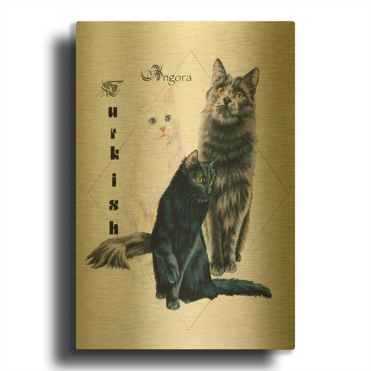 'Turkish Angora' By Barbara Keith Gold Metal Wall Art