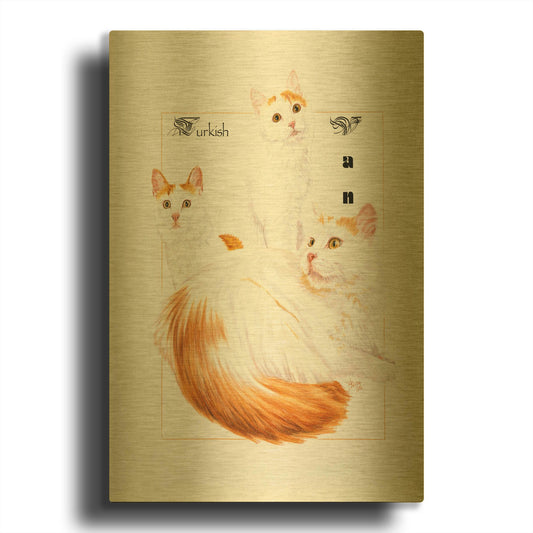 'Turkish Van' By Barbara Keith Gold Metal Wall Art