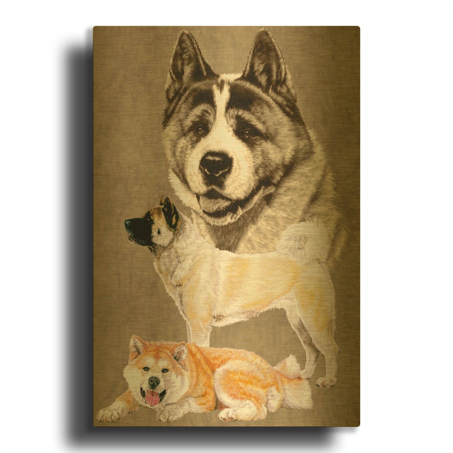 'Akita' By Barbara Keith Gold Metal Wall Art